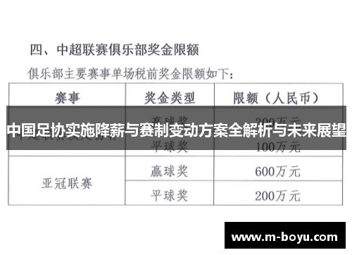 中国足协实施降薪与赛制变动方案全解析与未来展望